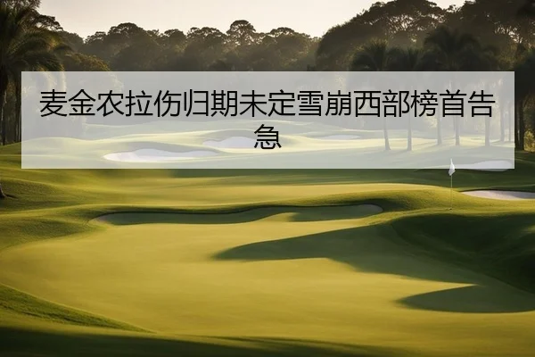 麦金农拉伤归期未定雪崩西部榜首告急